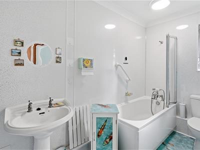 Picture 5